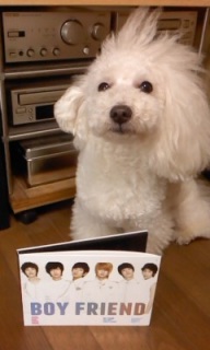 BOYFRIEND