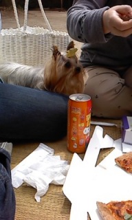 �݂�ȂŉԌ�