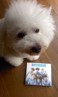 boyfriend