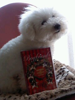 �������DVD