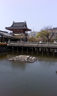 �T�������ς��I