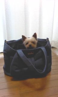 �Ȃ݁[�������