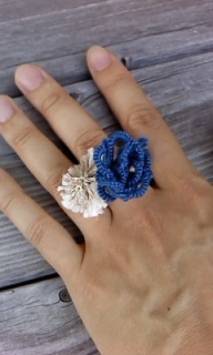 pompom�̃A�N�Z�T���[