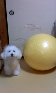 �Ȃ�ł���H