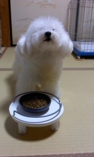 �[��