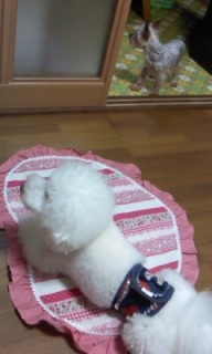 ����ւ�藧���ւ��part2