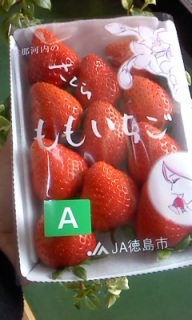 ���킢���l�[�~���O