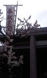 �_�˂̐Q�߉ލ�