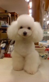 before��after