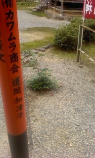 ���O���邠��B