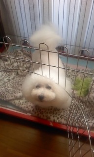 �΂�