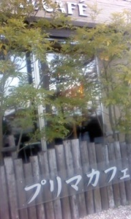 ������ƈꑧ
