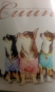 Cuun 10�����͂��܂����I