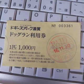 ����16�N�̃h�b�O����
