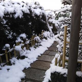 24�����̌i�F
