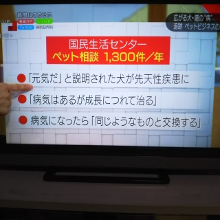�����Ă���B