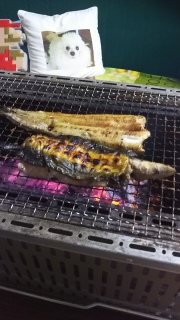 �V�R���Ȃ�