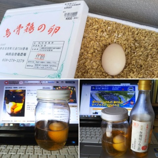 �G���{�̗�