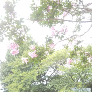 �Ӂ`��E�E�E