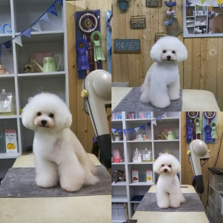�����̎qtrim��
