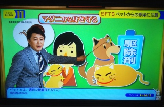 �䂭��