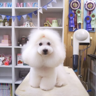 �Ă��؂�����`