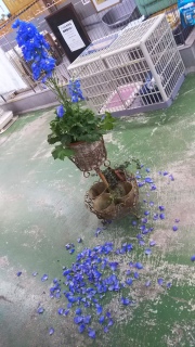 �f���t�B�j���[��