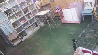�悭�����H